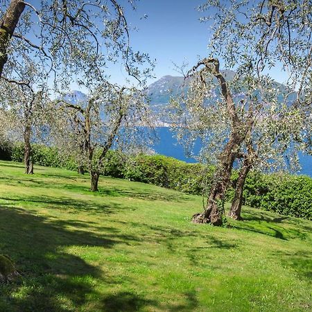 Villa Dismero-Un Oasi Di Lusso E Privacy Brenzone Extérieur photo