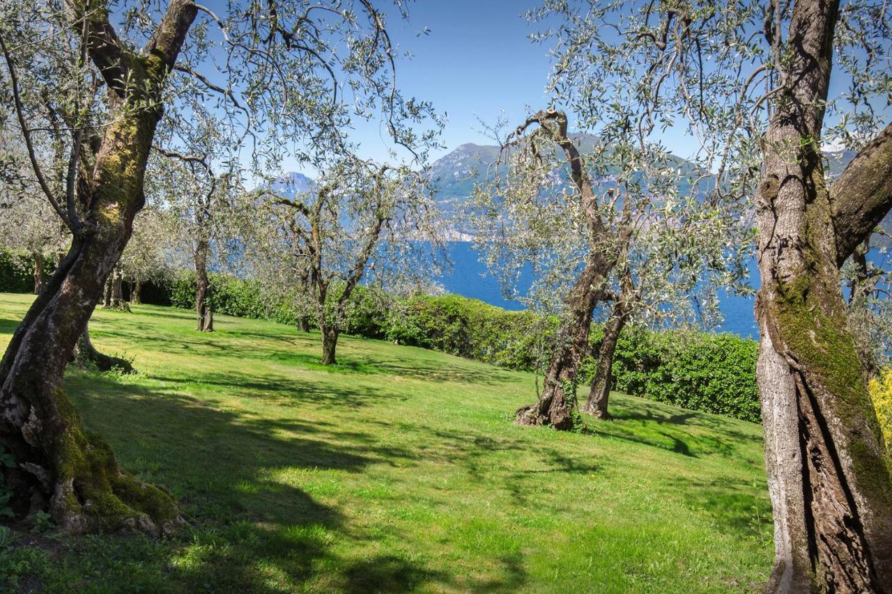 Villa Dismero-Un Oasi Di Lusso E Privacy Brenzone Extérieur photo