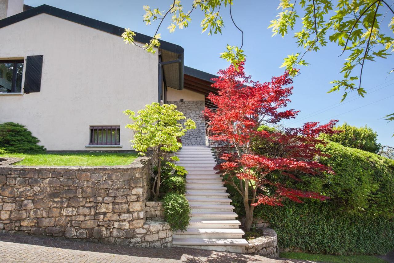 Villa Dismero-Un Oasi Di Lusso E Privacy Brenzone Extérieur photo